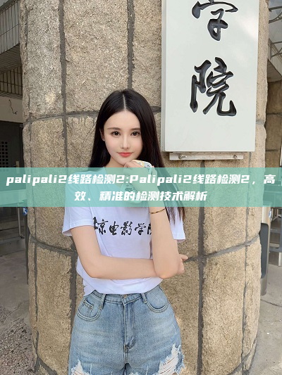 palipali2线路检测2:Palipali2线路检测2，高效、精准的检测技术解析