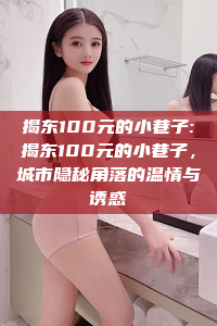 揭东100元的小巷子:揭东100元的小巷子，城市隐秘角落的温情与诱惑