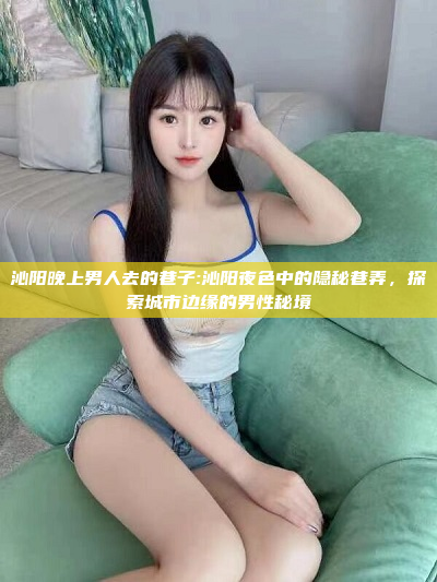 沁阳晚上男人去的巷子:沁阳夜色中的隐秘巷弄，探索城市边缘的男性秘境