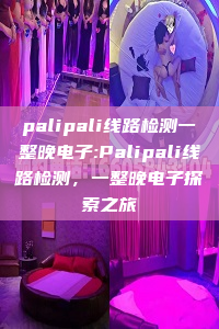 palipali线路检测一整晚电子:Palipali线路检测，一整晚电子探索之旅