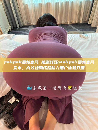 palipali最新官网 检测线路:Palipali最新官网发布，高效检测线路助力用户体验升级