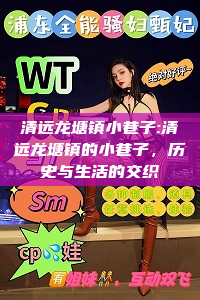 清远龙塘镇小巷子:清远龙塘镇的小巷子，历史与生活的交织