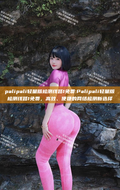 palipali轻量版检测线路1免费:Palipali轻量版检测线路1免费，高效、便捷的网络检测新选择