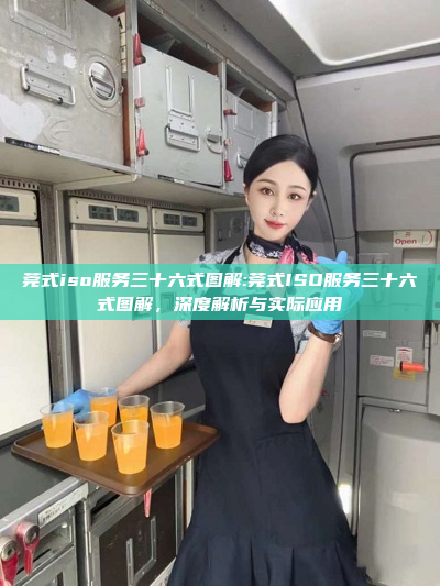 莞式iso服务三十六式图解:莞式ISO服务三十六式图解，深度解析与实际应用