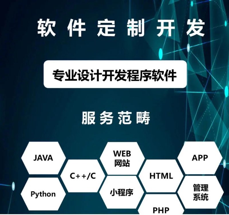 软件定制开发引领行业变革