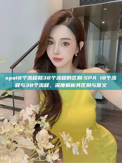 spa18个流程和38个流程的区别:SPA 18个流程与38个流程，深度解析其区别与意义