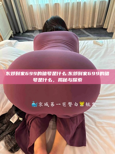 东郊到家699的暗号是什么:东郊到家699的暗号是什么，揭秘与探索