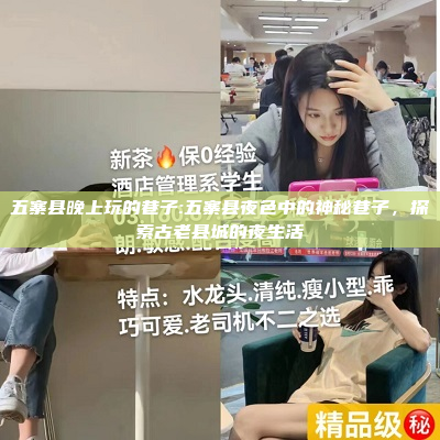 五寨县晚上玩的巷子:五寨县夜色中的神秘巷子，探索古老县城的夜生活